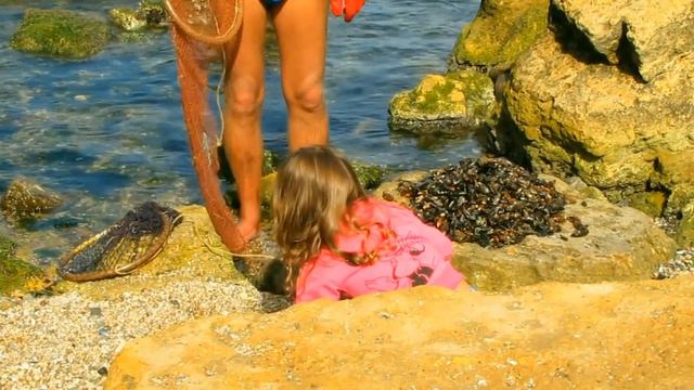 Дикий пляж слева. Одесса. Wild beach, left side. Odessa. смотреть онлайн