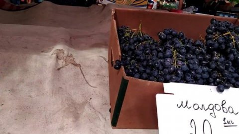 Одесса Привоз обзор. Знаменитый одесский рынок Привоз.