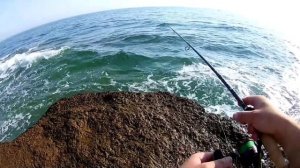 Рыбалка на Северном море со скал