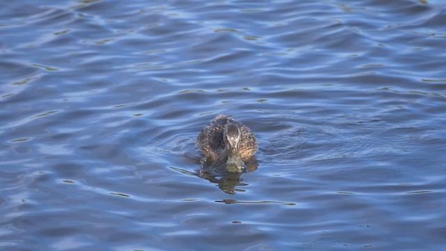 Panasonic G9 1080p180 Video Sample Test смотреть онлайн