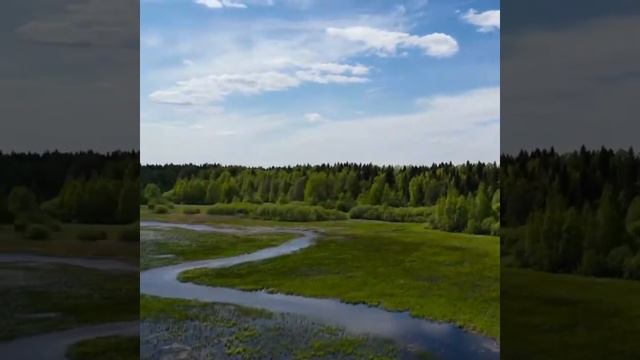 Summer in Russia. Valdai National Park