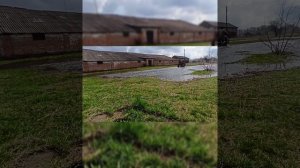 трицикл из альфи 110, и муравья