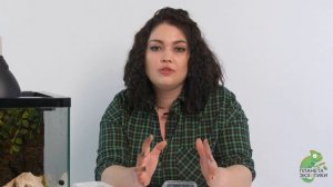 Рогатые лягушки. Как содержать в домашних условиях