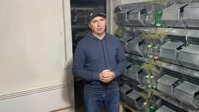 БОЛЕЗНИ  ШИНШИЛЛ часть 1 | ФЕРМА ШИНШИЛЛ | ШИНШИЛЛОВАЯ ФЕРМА