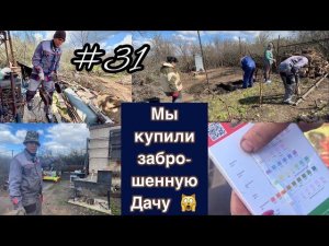 #31 МЫ купили ЗАБРОШЕННУЮ ДАЧУ/ Расчистка/ Проверка воды/Первый огород