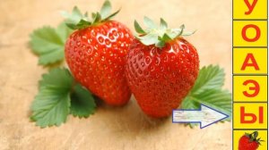 Урок 1_Попевка УОАЭЫ- ЮЁЯЕИ к кубикам Зайцева