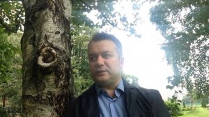 Сон про не сон, или почему люди спят