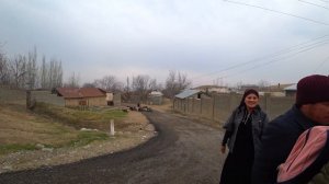 Вся правда про узбекский Виноград и его хранение.Узбекистан.