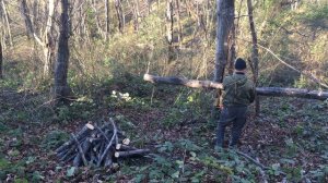 Аккумуляторная цепная пила. Тест работы на крыше и напилена большая куча дров | Accumulator saw