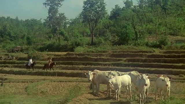 Pierre Bachelet Herve Roy - Эммануэль смотреть онлайн