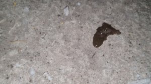 Промываем радиатор печку ланос аккумуляторной кислотой быстро и эффективно