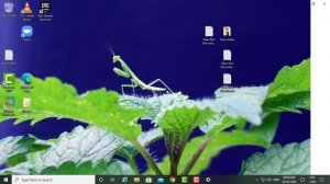 Fix Black Screen In Epic Games Launcher | Windows 10/8/7