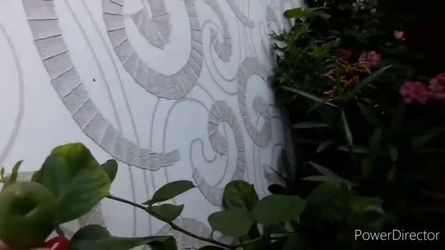 Краски прошлого лета. Май 2019 на балконе смотреть онлайн