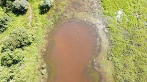 BEST TRANCE 2021 !!! TOP MUSIC FOR YOU !!!