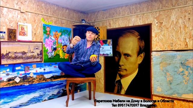 Кот обдирает когтями мебель, диван, полезный совет, помогающий эффективно решить эту проблему
