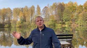 Подбор идеального Лексус RX400 и негибридный гибрид…