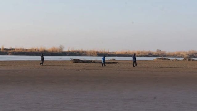 За лопатоносами  Хорезм  Декабрь 2015 г  Амударья  Часть I