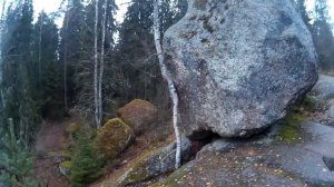 Парк Монрепо в ноябре