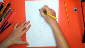 Как нарисовать морковь. Онлайн-школа рисования "Малевашки"