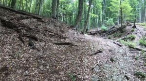 Бурульча: Часть 2. Где вся вода? Поход по началу течения крымской реки