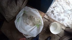 ОТКОРМ БЫКОВ 9 МЕСЯЦЕВ НА ОТКОРМЕ КАКОЙ РЕЗУЛЬТАТ,СОЛЬ НЕОБХОДИМАЯ ВЕЩЬ ДЛЯ ОТКОРМА КРС