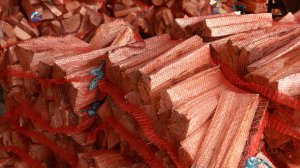 Житель Новой Вилги открыл бизнес по продаже дров в удобной упаковке