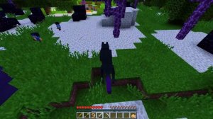 The First ENDER WOLF Story In Minecraft!