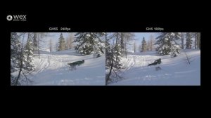 Panasonic GH5S Основные преимущества и недостатки в сравнении с Panasonic GH5