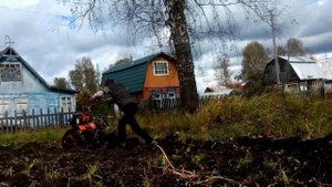 Копаем картошку гусеничным мотоблоком.