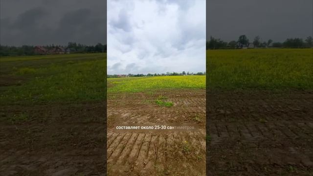 Обзор объекта в пос. Зеландия