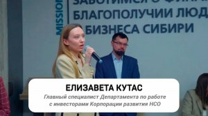 Текущая деятельность Корпорации развития НСО. Помощь для предпринимателей. Елизавета Кутас.