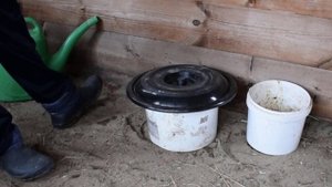 Что делать с клубникой весной 1. Подкормка. Делаем самое эффективное органическое удобрение КОРОВЯ