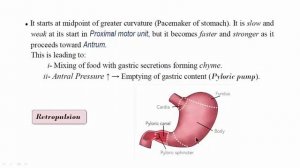 GIT Review for Midterm Exam (2), Nov 2016