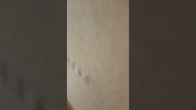 Завершение ремонта канализации с Lubrium смотреть онлайн