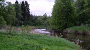 Загородный отель "Лепота" в Подмосковье, отзыв