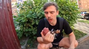 Штребух смешные моменты часть 2