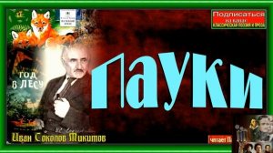 Пауки, Иван Соколов Никитин  , Рассказы детям ,читает Павел Беседин