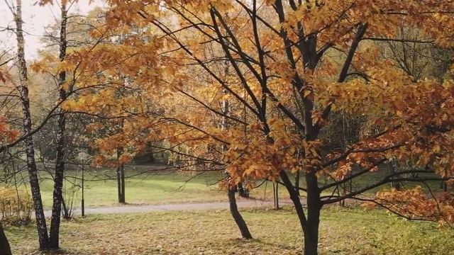 Music for sleep, stress relief, music for recreation. смотреть онлайн