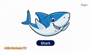 Sea Animals | Learn Sea Animals Names | Kids Vocabulary | English Educational Video #youtube