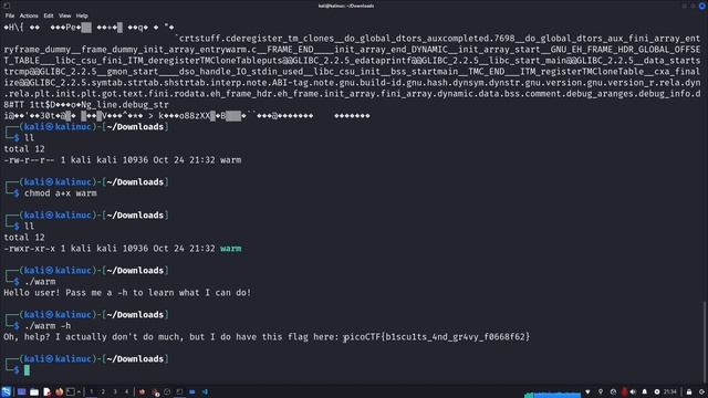 How to Solve the Wave a flag Challenge from picoCTF 2021 (General CTF Skills Tutorial) смотреть онлайн