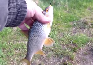 Мормышинг . 14.05.2022.mp4