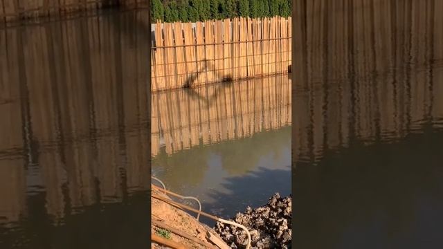  Разработка грунта в котловане. Водопонижение грунтовых вод иглофильтрами. Шпунтовое ограждение ?