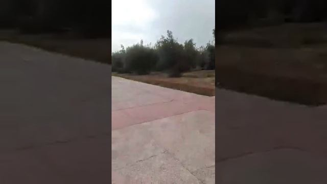 A Stroll at the Menara Gardens in Marrakech, Morocco