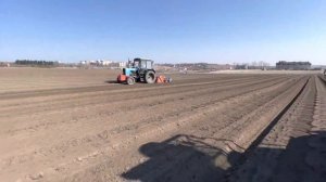 Посев лука 2022 овощная сеялка клен