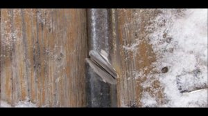 Соединение двух валов в приспособлении