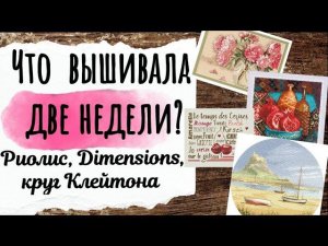 151. Продвижения за ДВЕ НЕДЕЛИ | Риолис, круг Клейтона, Dimensions | Вышивка крестом