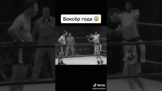 Боксёр года???