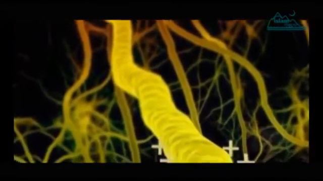 Польза от уразы . смотреть онлайн