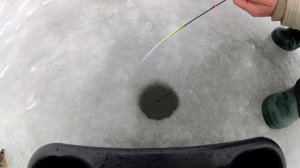 Рыбалка 1000чи поклевок / Ловля окуня Кучурганский лиман