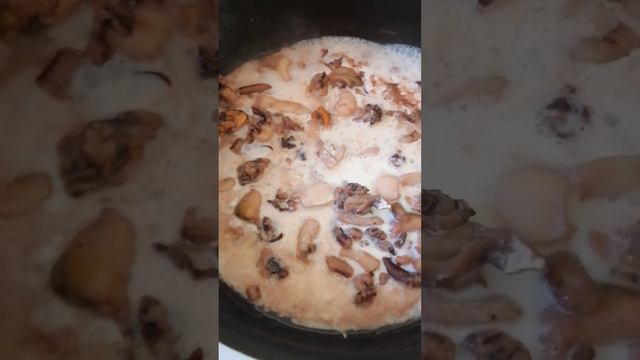 #еда #мукбанг #мугбанг #готовим #готовимдома #паста #курочка смотреть онлайн